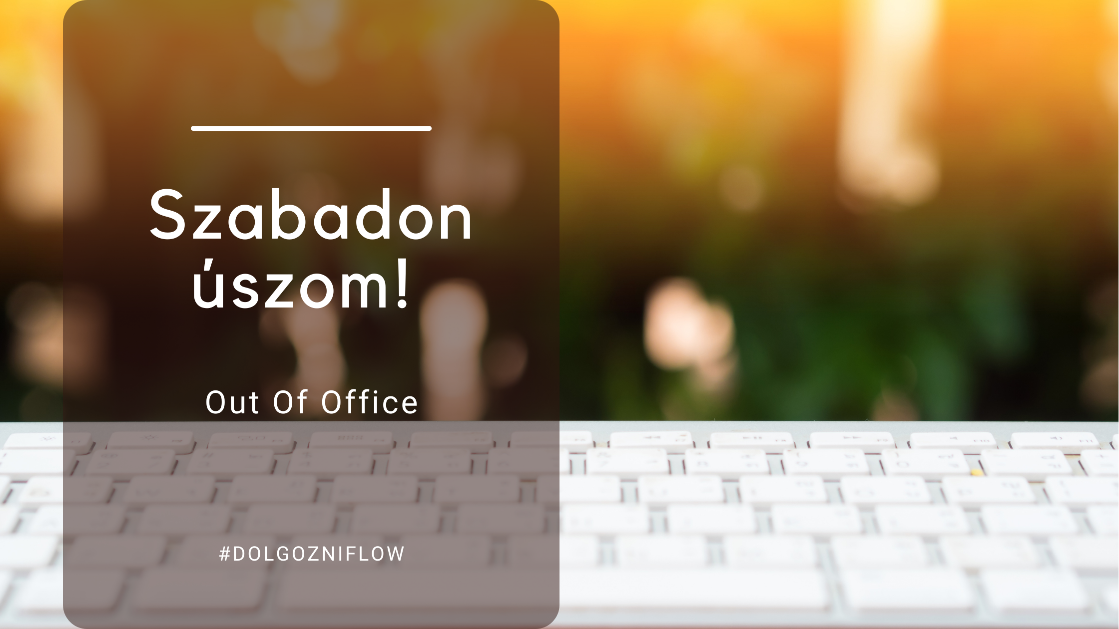Read more about the article Out Of Office