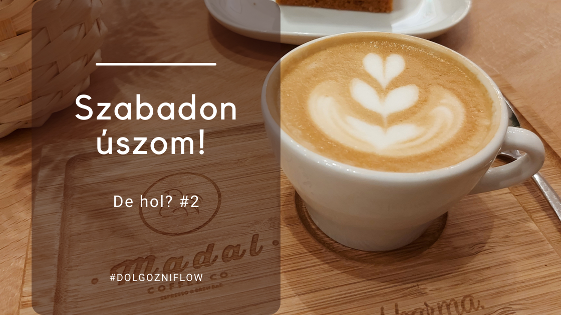 Read more about the article Szabadon úszom. De hol? #2 – Madal Kávézók